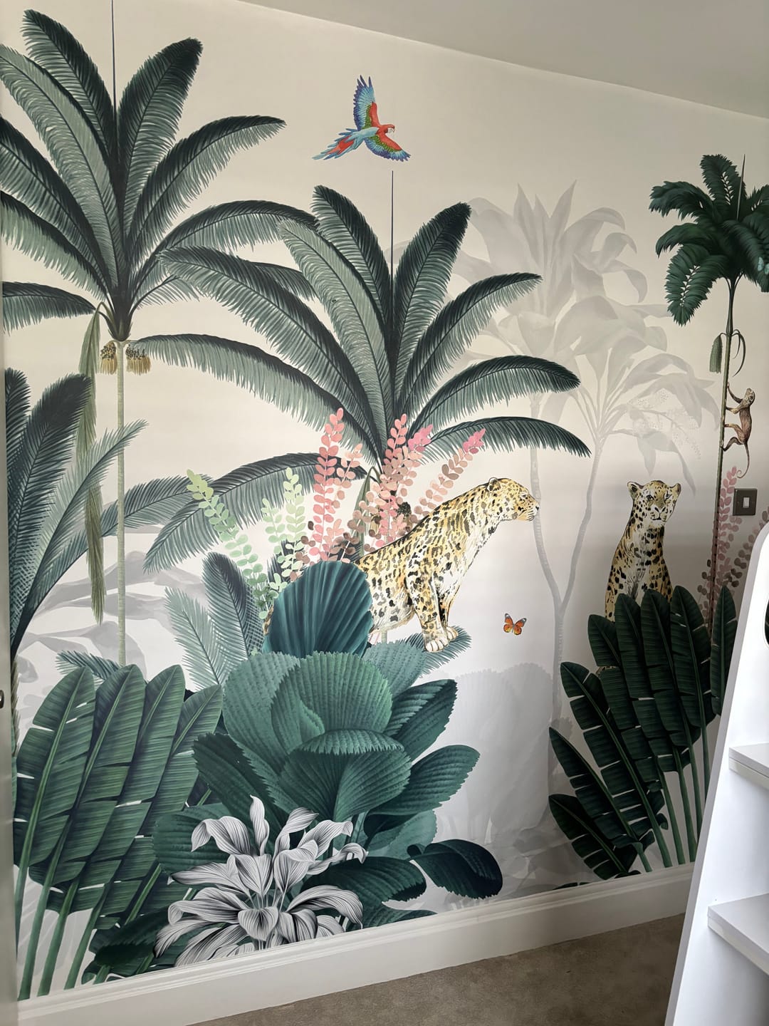 Customer photo review of Leopard and Friends Jungle Wallpaper Mural