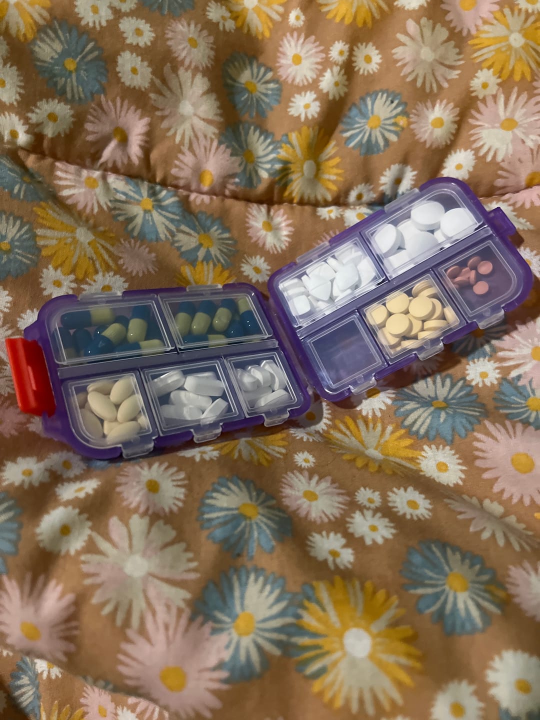 Customer photo review of Limited Edition Pockt™ Pals
