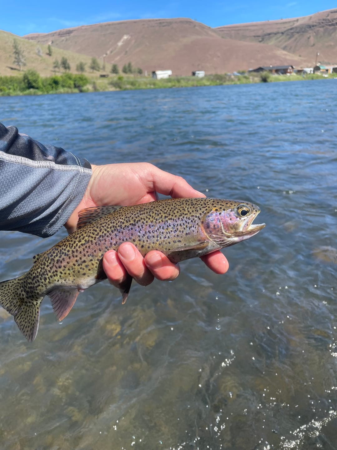 Customer photo review of Lower Deschutes River | Guided Float Trip - Full Day
