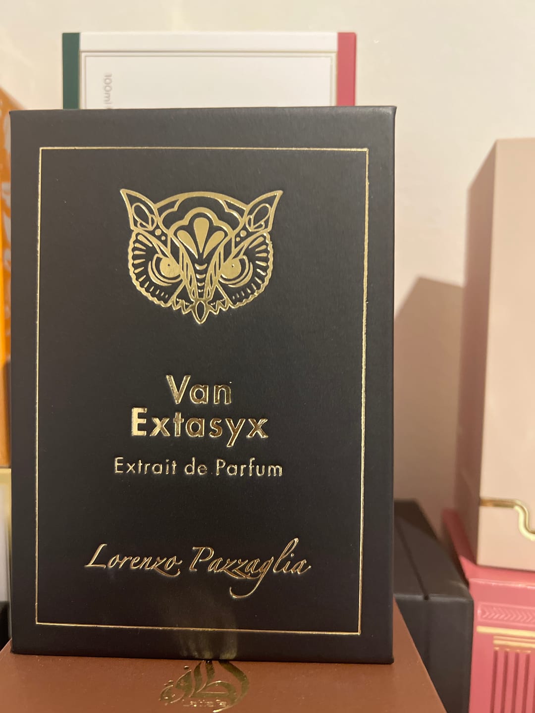 Customer photo review of LORENZO PAZZAGLIA - VAN EXSTASYX