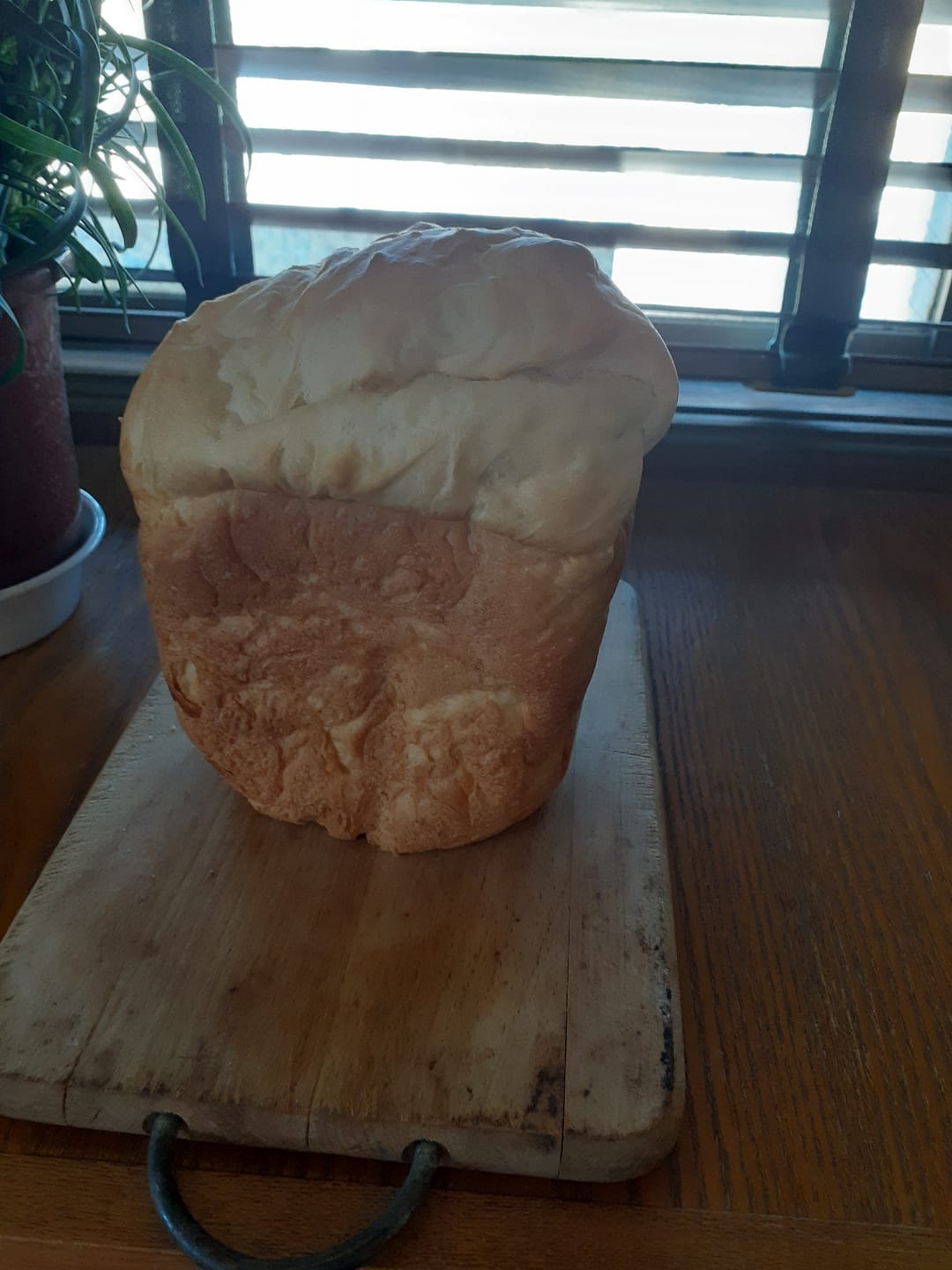 Customer photo review of モチモチトーストミックス 1kg x 15