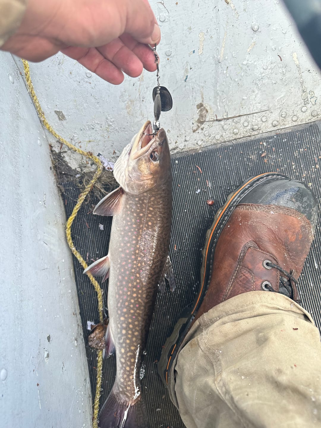 Customer photo review of STINGEYE™ Spinner