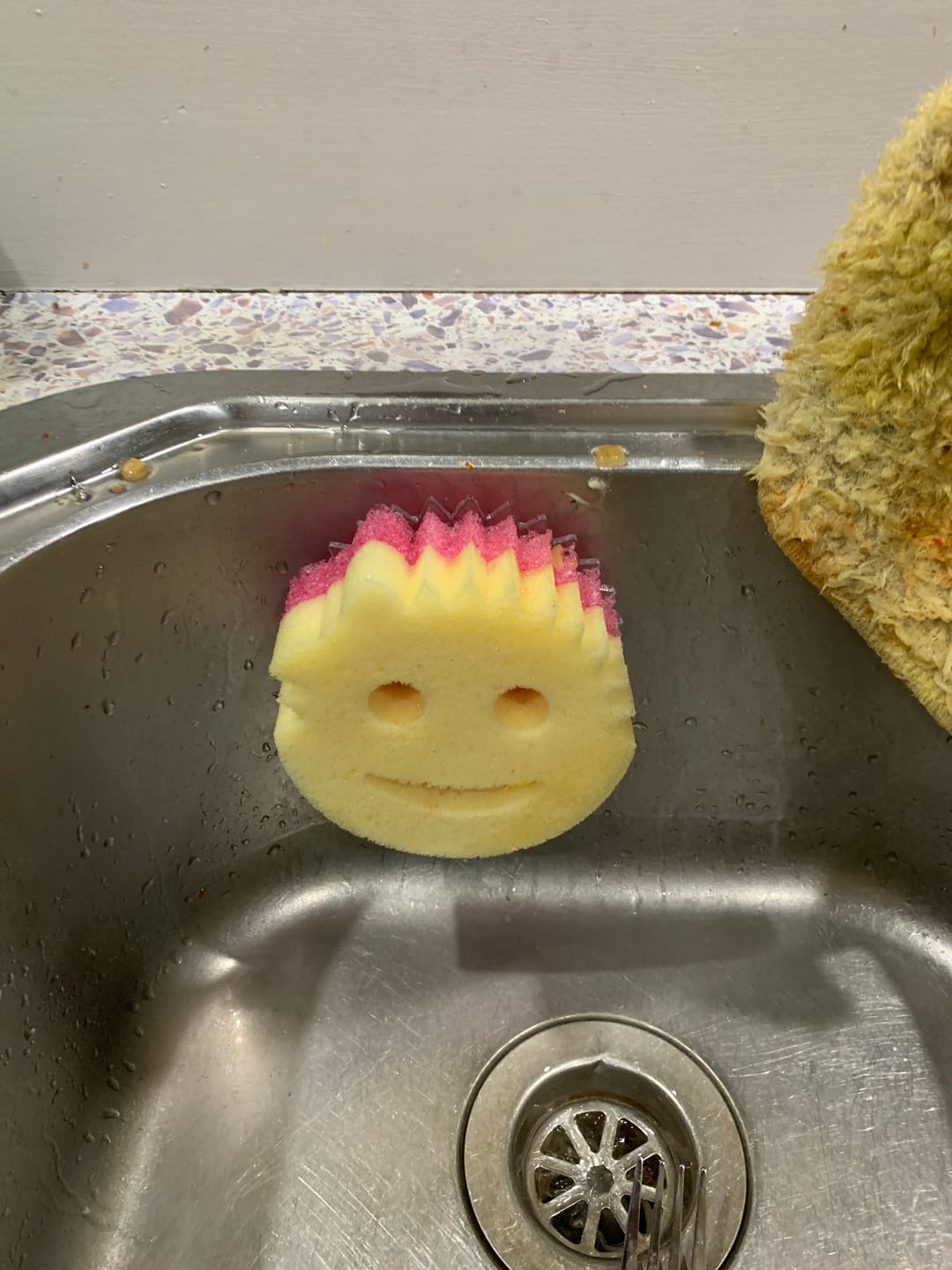 Customer photo review of Scrub Daddy Caddy