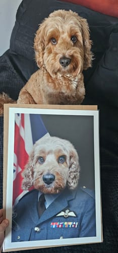Customer photo review of Spitfire Pilot - Custom Pet Portrait