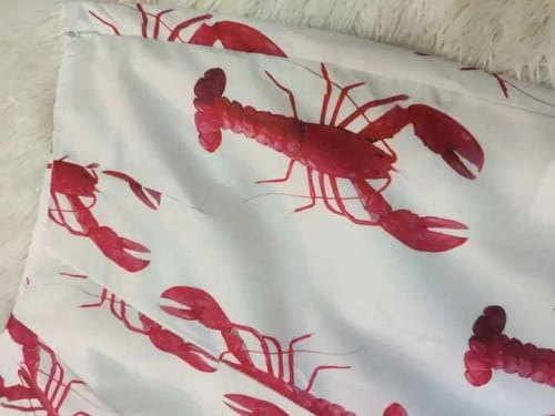 Customer photo review of Lobster Short and Top