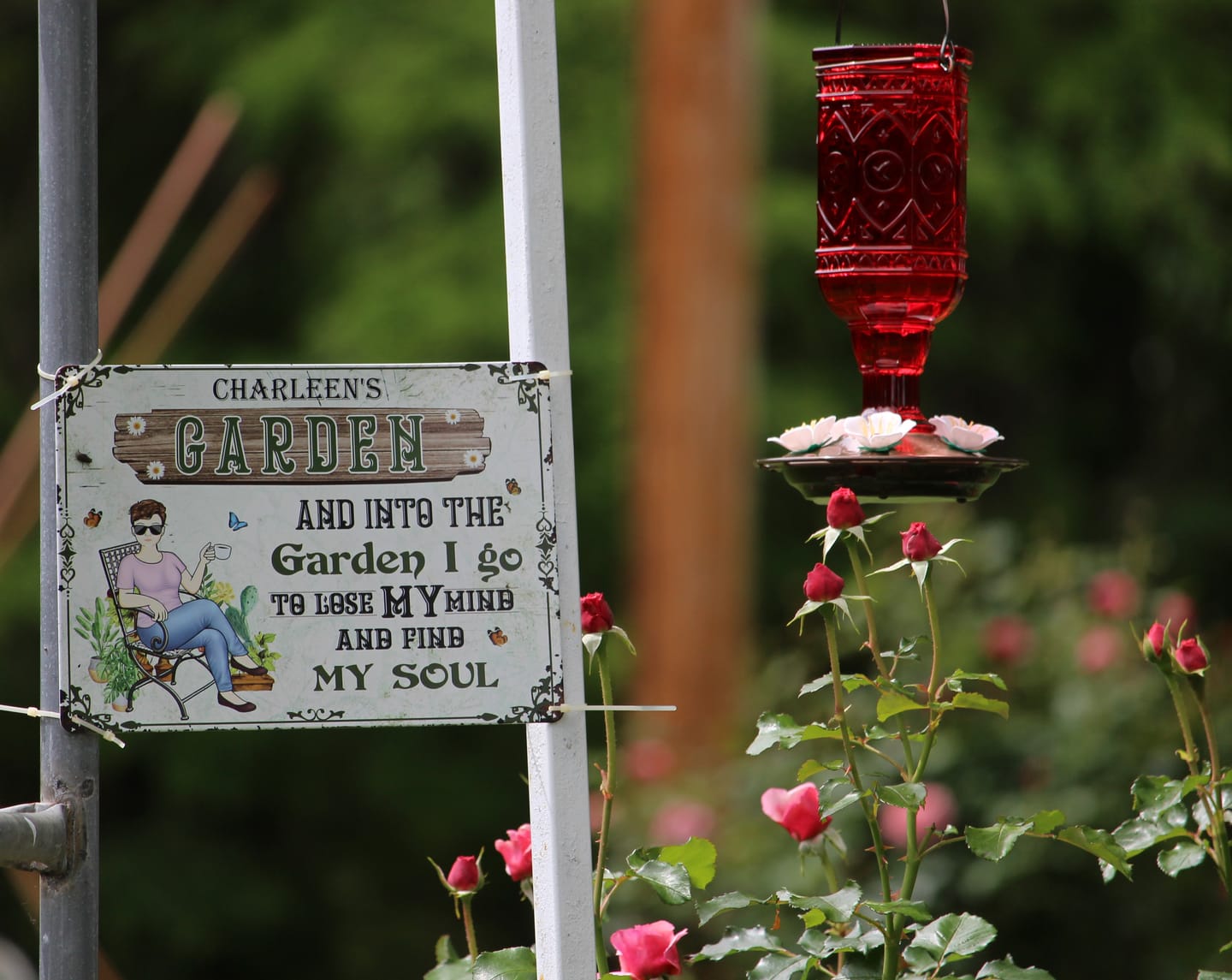Customer photo review of And Into The Garden I Go Gardening Girl - Garden Sign - Personalized Custom Classic Metal Signs