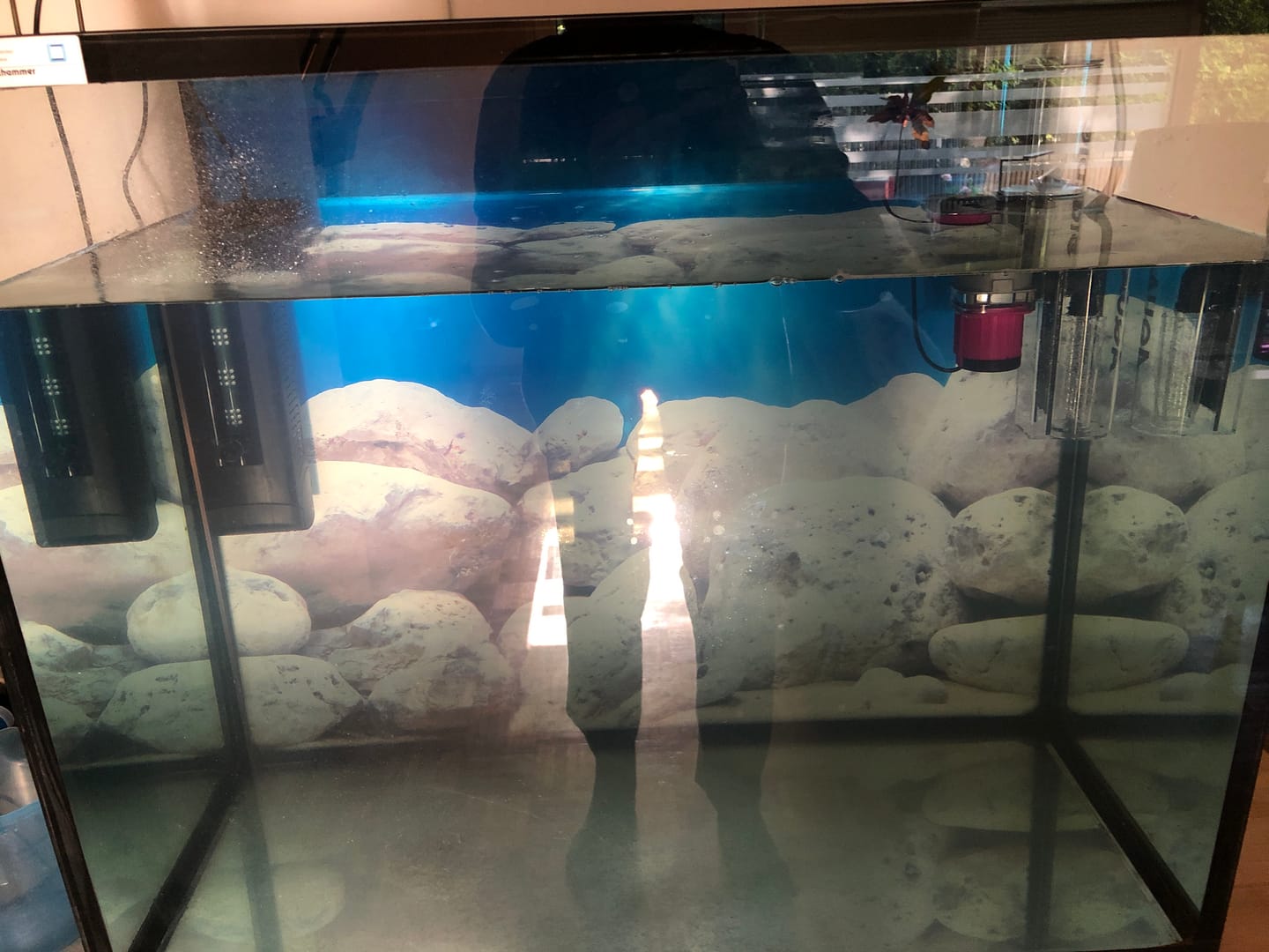 Customer photo review of Deep Blue Sea-Salz 10 Kg Eimer