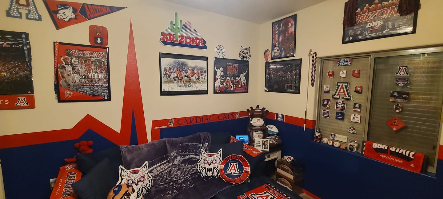 Customer photo review of Arizona Wildcats VAULT "CACTUS" 3D Metal Wall Art