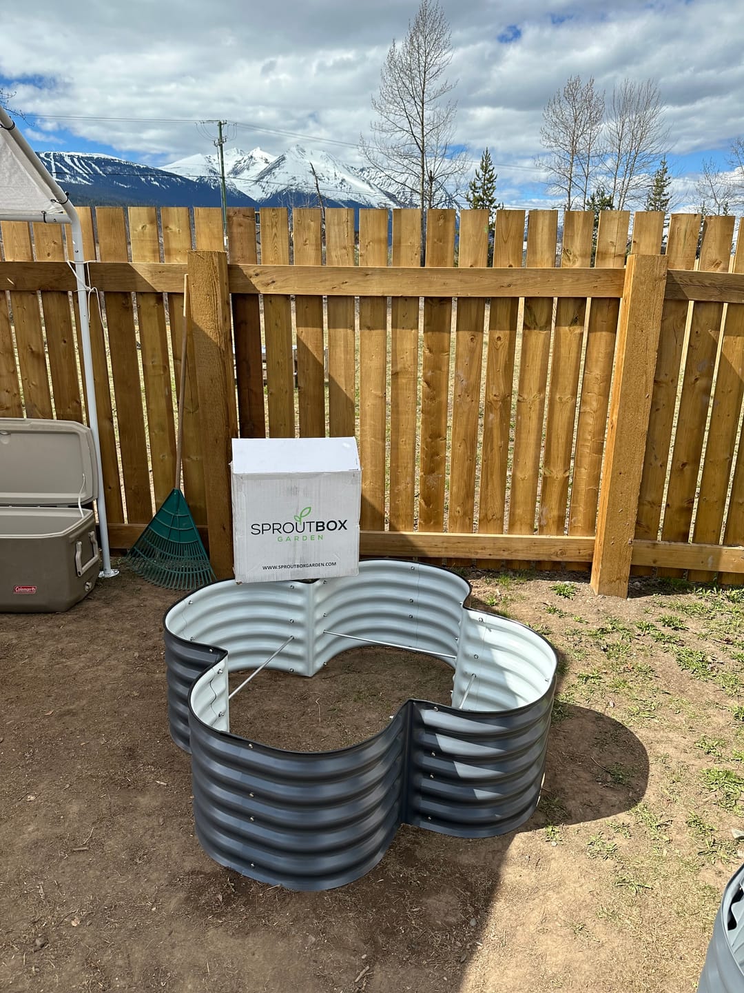 Customer photo review of 17" Tall Four Leaf Clover