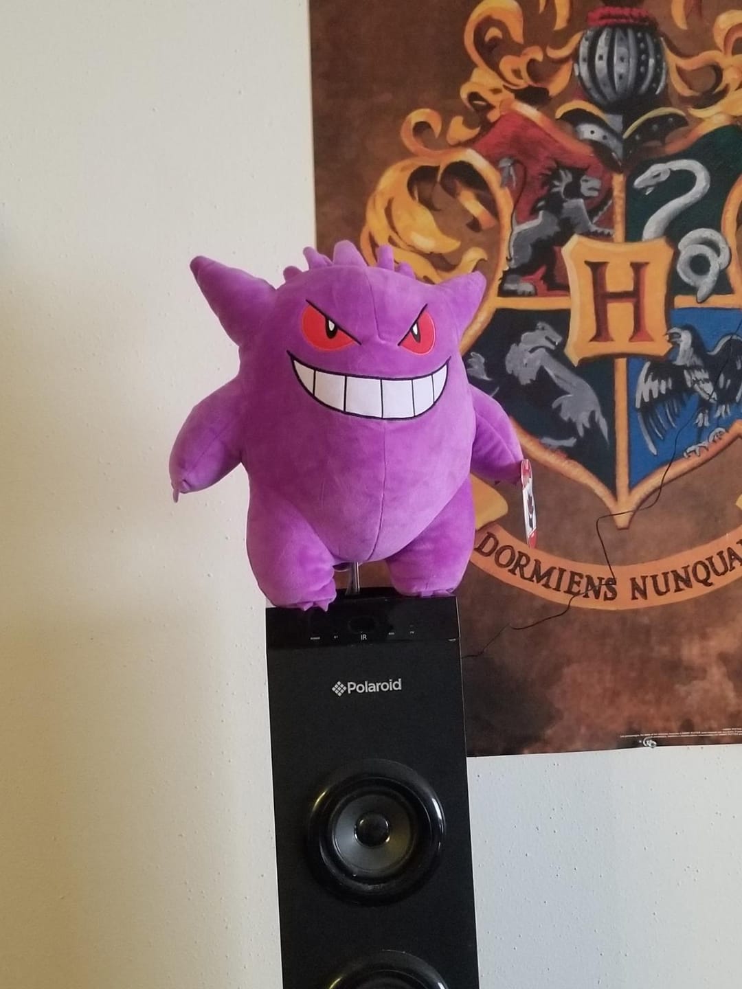 Customer photo review of Gengar Pokemon Plush