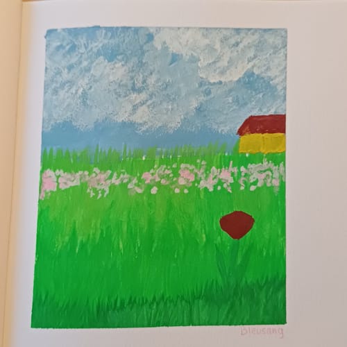 Customer photo review of Himi - Set 36 Gouache Potes 12 g