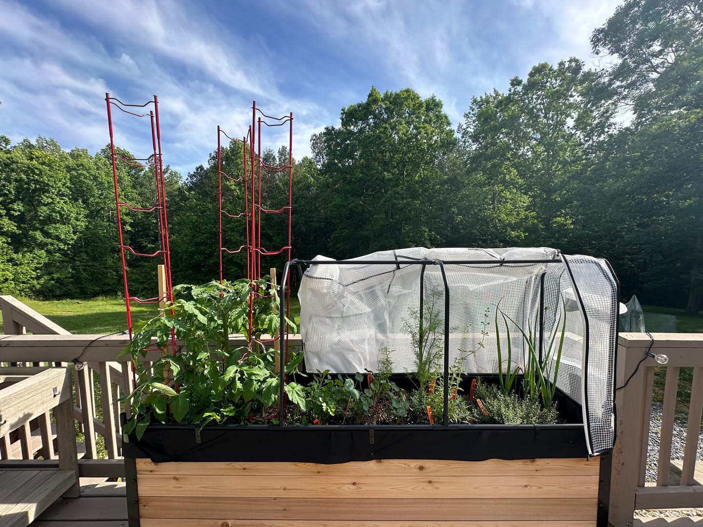 Customer photo review of Greenhouse Cover