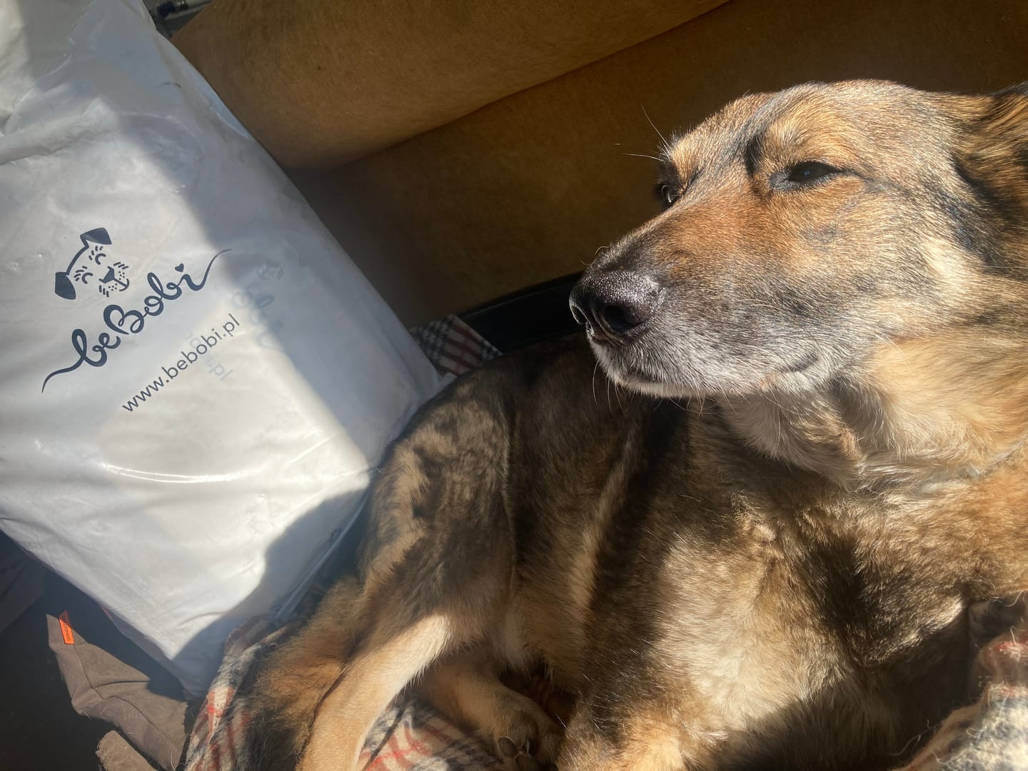 Customer photo review of Light All breeds ar tunci un rīsiem