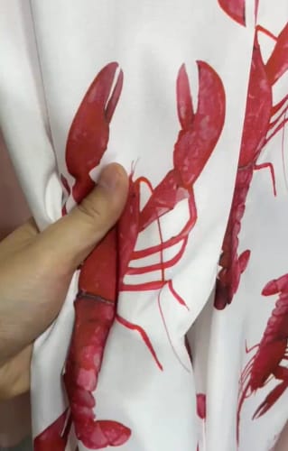 Customer photo review of Lobster Short and Top