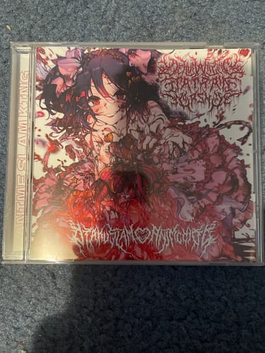 Customer photo review of Dehumanizing Itatrain Worship - Otakuslam♡Animecide