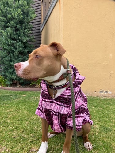 Customer photo review of Playa Poncho - Surprise Color