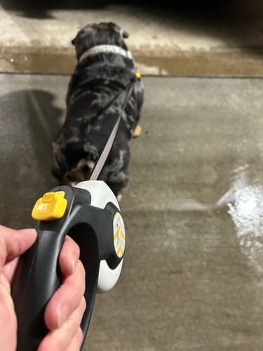 Customer photo review of FIDA AutoBrake Leash