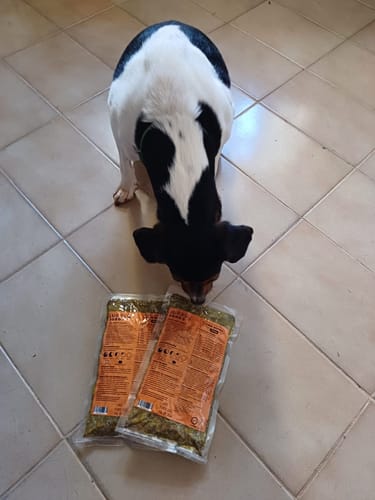 Customer photo review of Kit Degustação