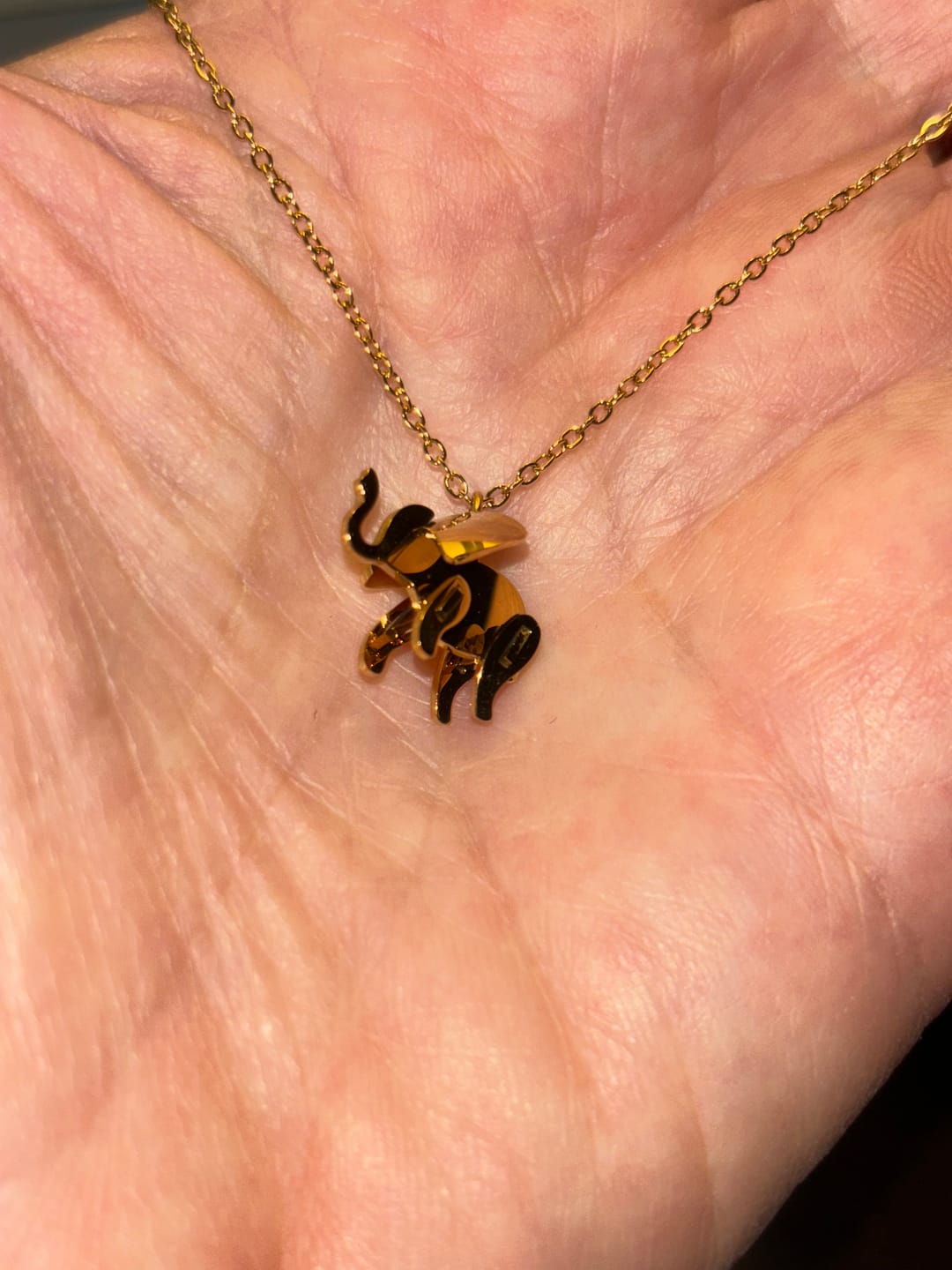 Customer photo review of Gold Elephant Necklace