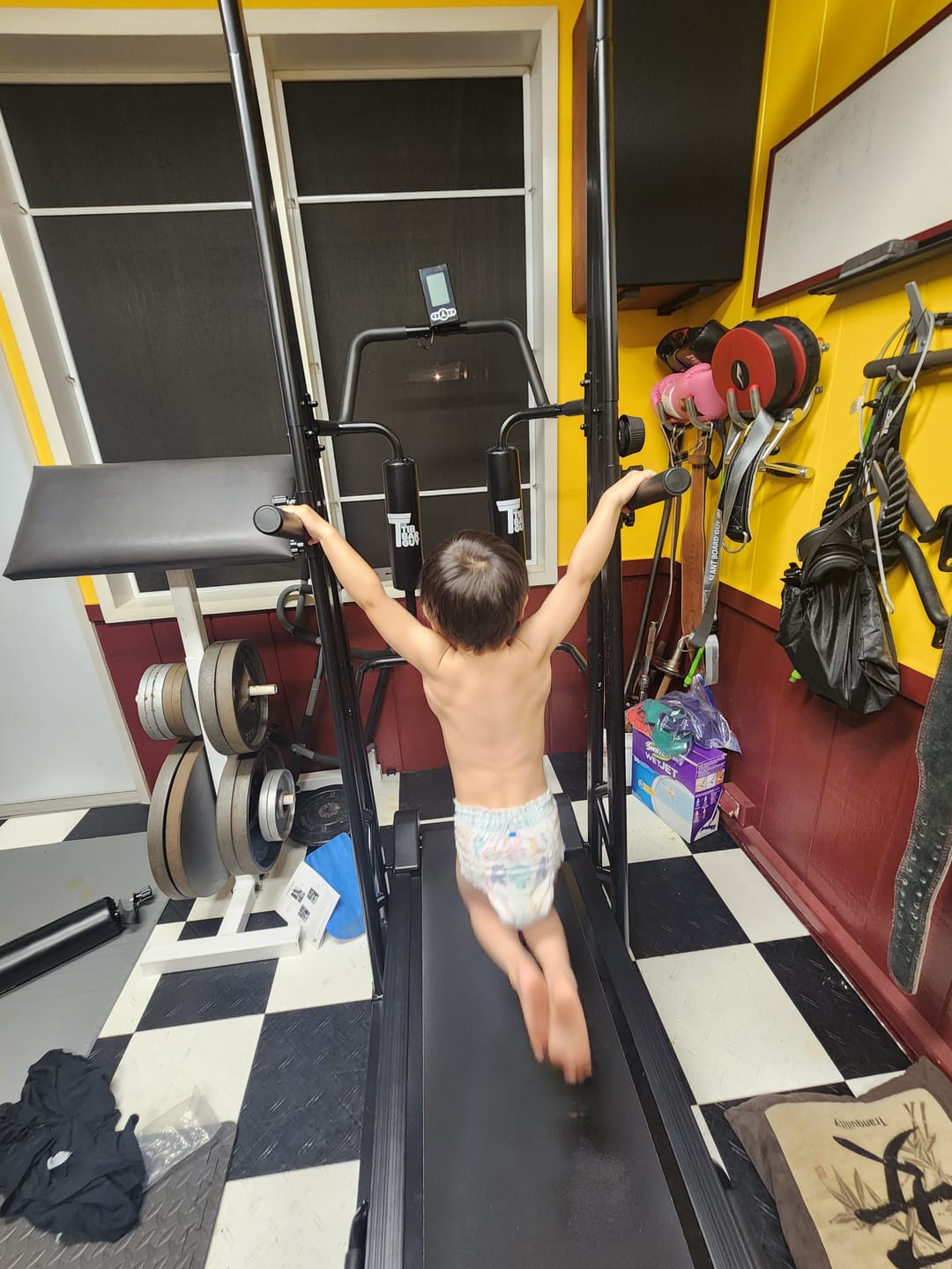 Customer photo review of THE SLEDTRED™️