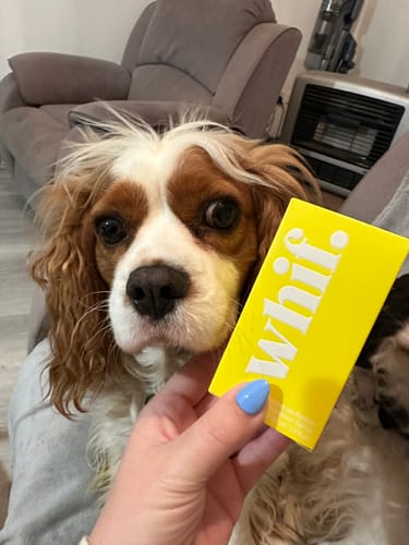 Customer photo review of Milky Serene