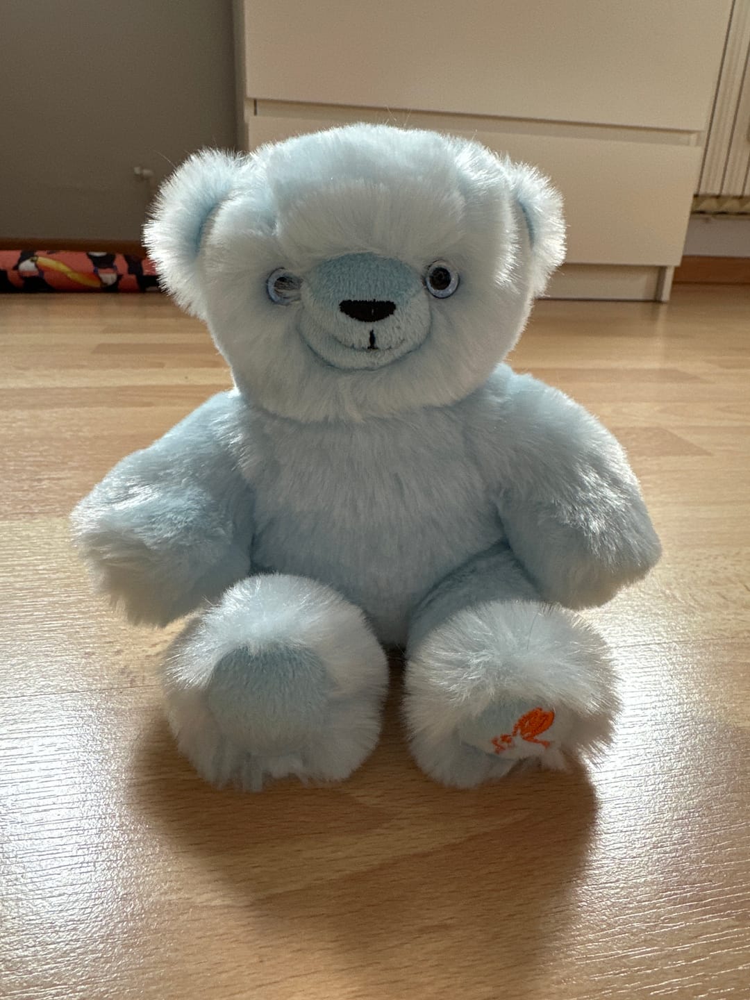 Customer photo review of Ma peluche Ours Émile