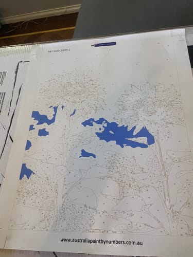 Customer photo review of Custom Paint By Numbers