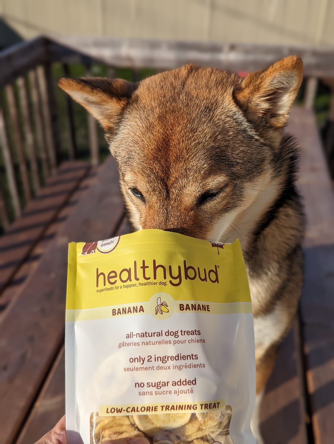 Customer photo review of Banana Chips