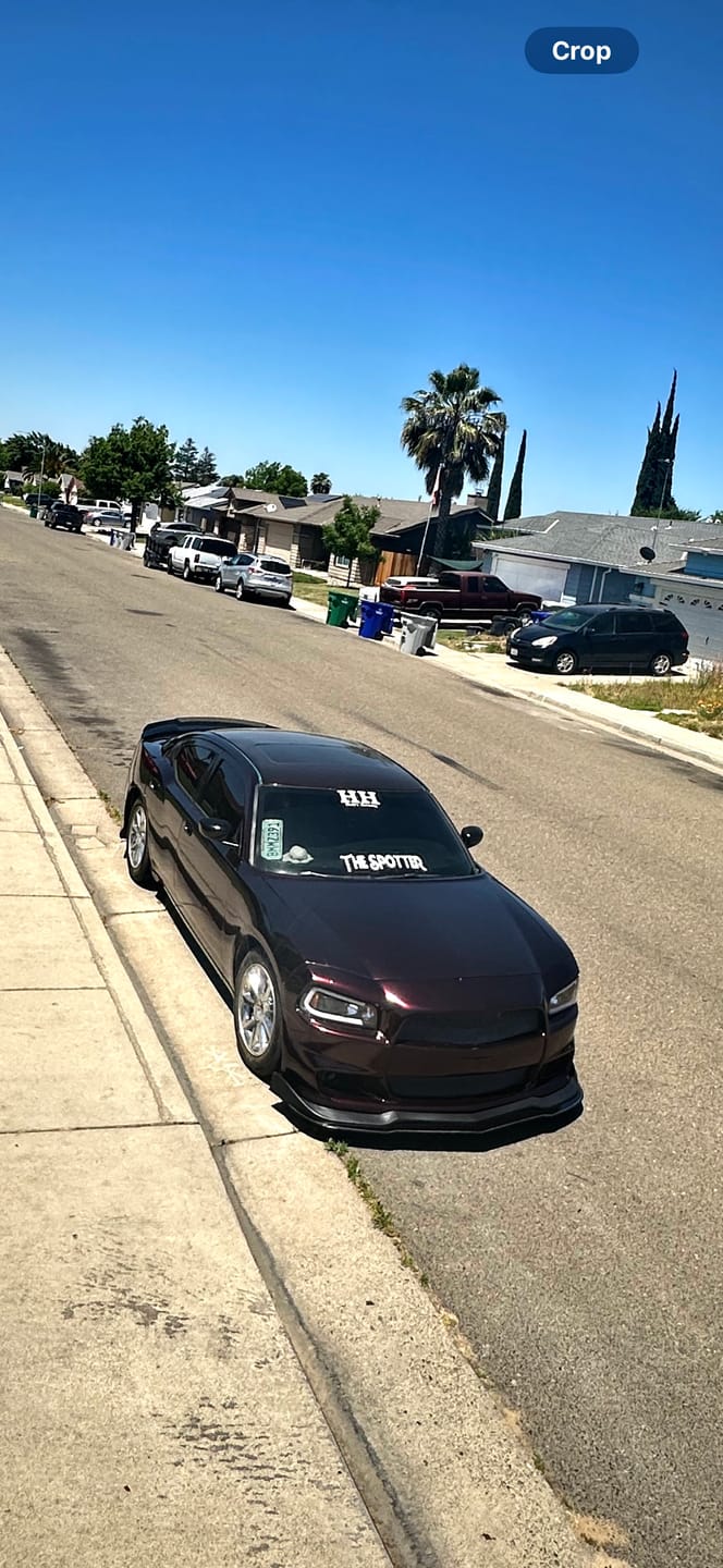 Customer photo review of Glossy Metallic Black Rose Vinyl Wrap