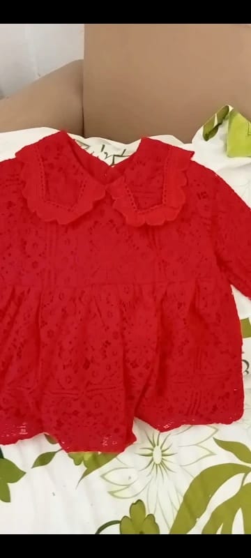 Customer photo review of Long Sleeve Lace Dress