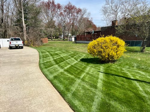 Customer photo review of GCI Turf K (Potassium) 0-0-20