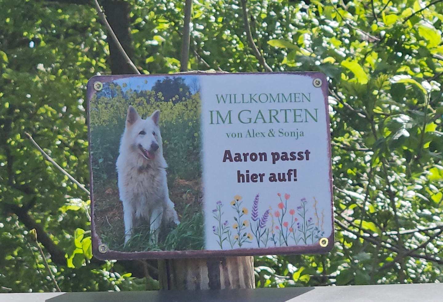 Customer photo review of Hunde Garten-Schild personalisiert mit Foto & Text (UV- und wetterfest)