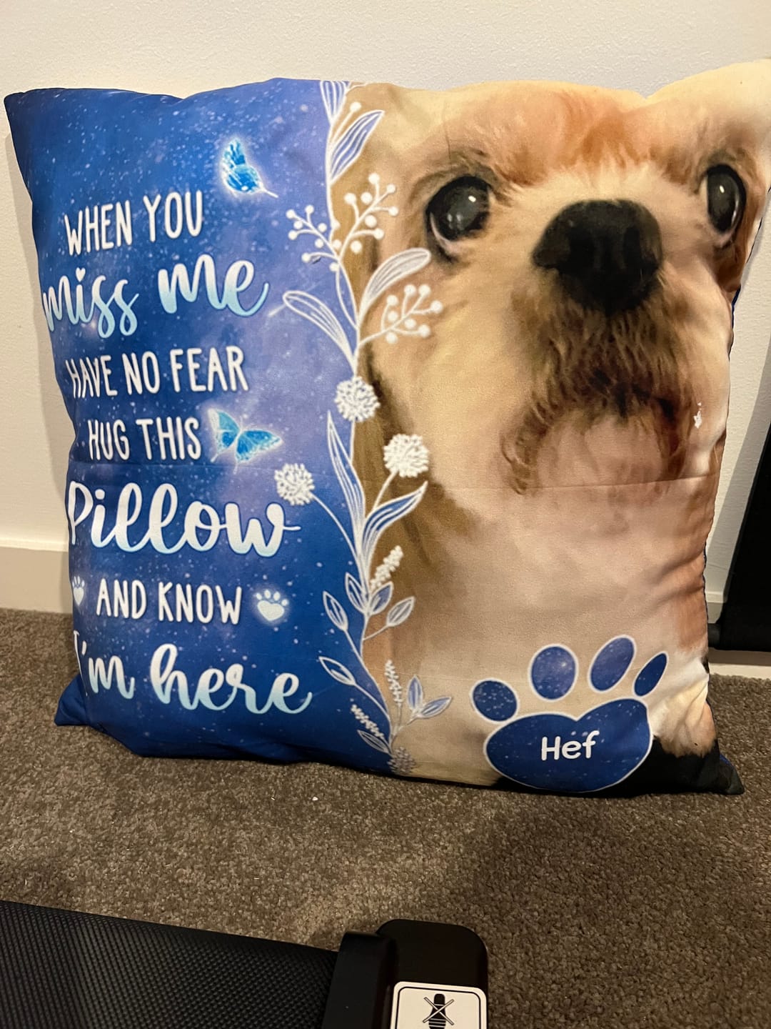 Customer photo review of Custom Photo My Love For You Is Always Here - Memorial Personalized Custom Pillow - Sympathy Gift, Gift For Pet Owners, Pet Lovers