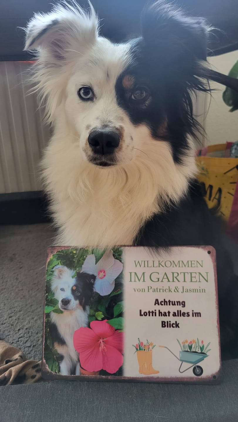 Customer photo review of Hunde Garten-Schild personalisiert mit Foto & Text (UV- und wetterfest)