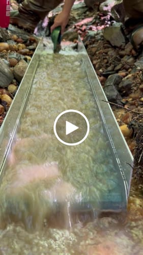 Customer video review of International Shipping $25 Fee