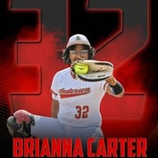Customer photo review of Custom Sports Banner - The GOAT Softball