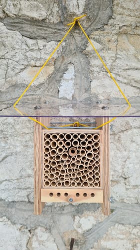 Customer photo review of BeeHome Observer