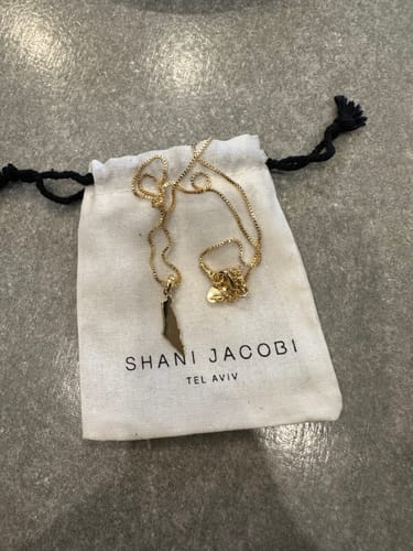 Customer photo review of Israel Map Necklace