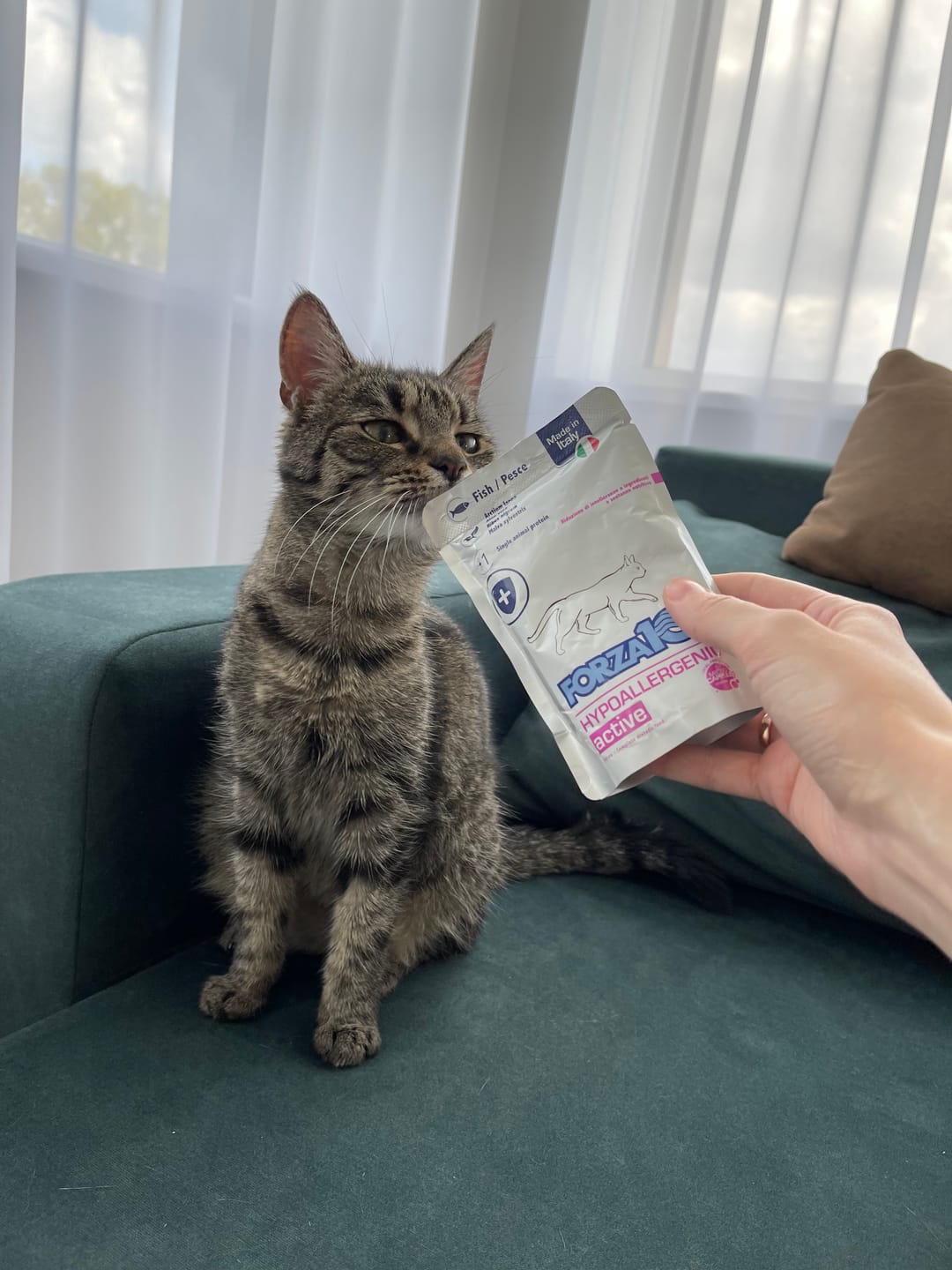 Customer photo review of Hypoallergenic ActiWet konservi kaķiem ar zivi