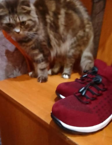 Customer photo review of OrthoEase - Stilvolle Komfort Schuhe für ergonomische Schmerzlinderung