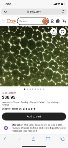 Customer photo review of Milk Paint 101 Workshop Kit