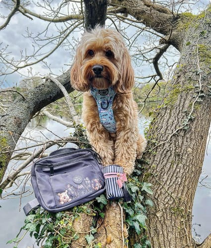 Customer photo review of Tough Trails™ Harness - Eeyore