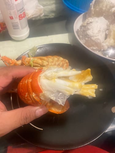 Customer photo review of Tas Red Crayfish (Cooked)