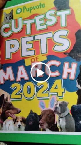 Customer video review of Cutest Pets of the Month 2024 Photobook