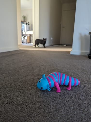 Customer photo review of Sensory Axolotl Click Clack Fidget Toy
