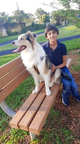 Customer photo review of FIDA No Pull Harness