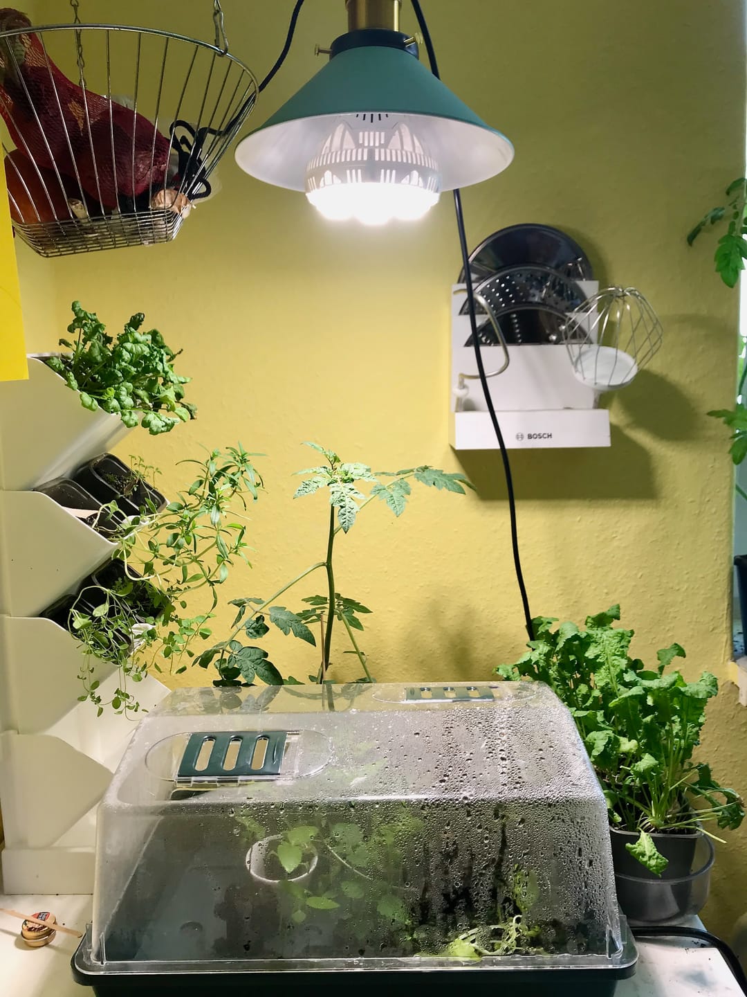 Customer photo review of Pflanzenlampe Sansi LED