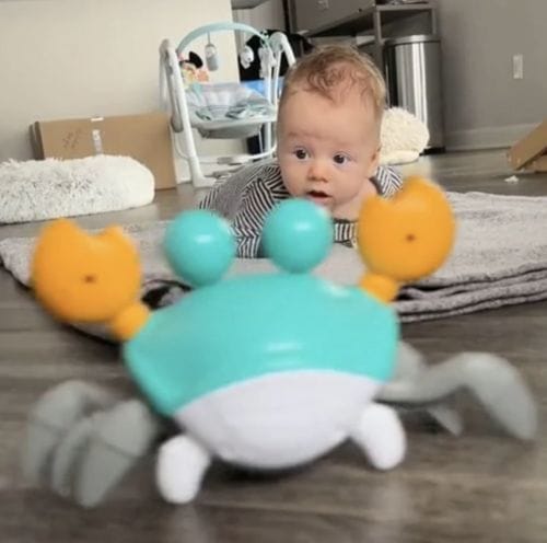 Customer photo review of Die magische KRABBELKRABBE™️