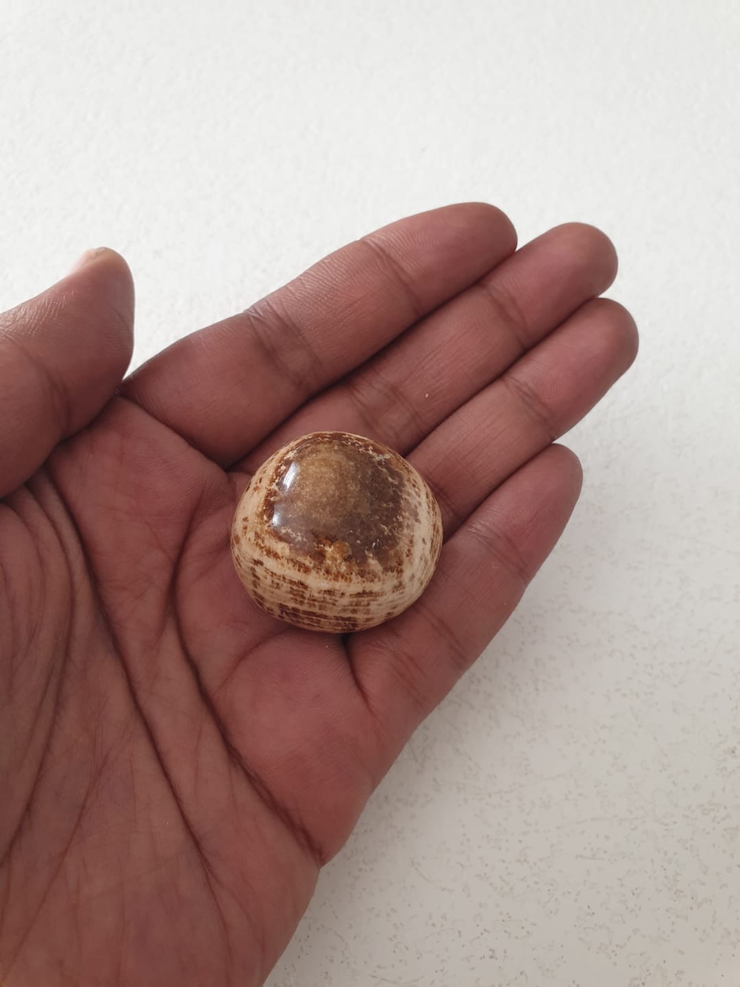Customer photo review of Pierre Aragonite