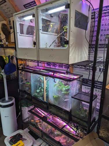 Customer photo review of XA-BIO-G 18Wx18Lx24H